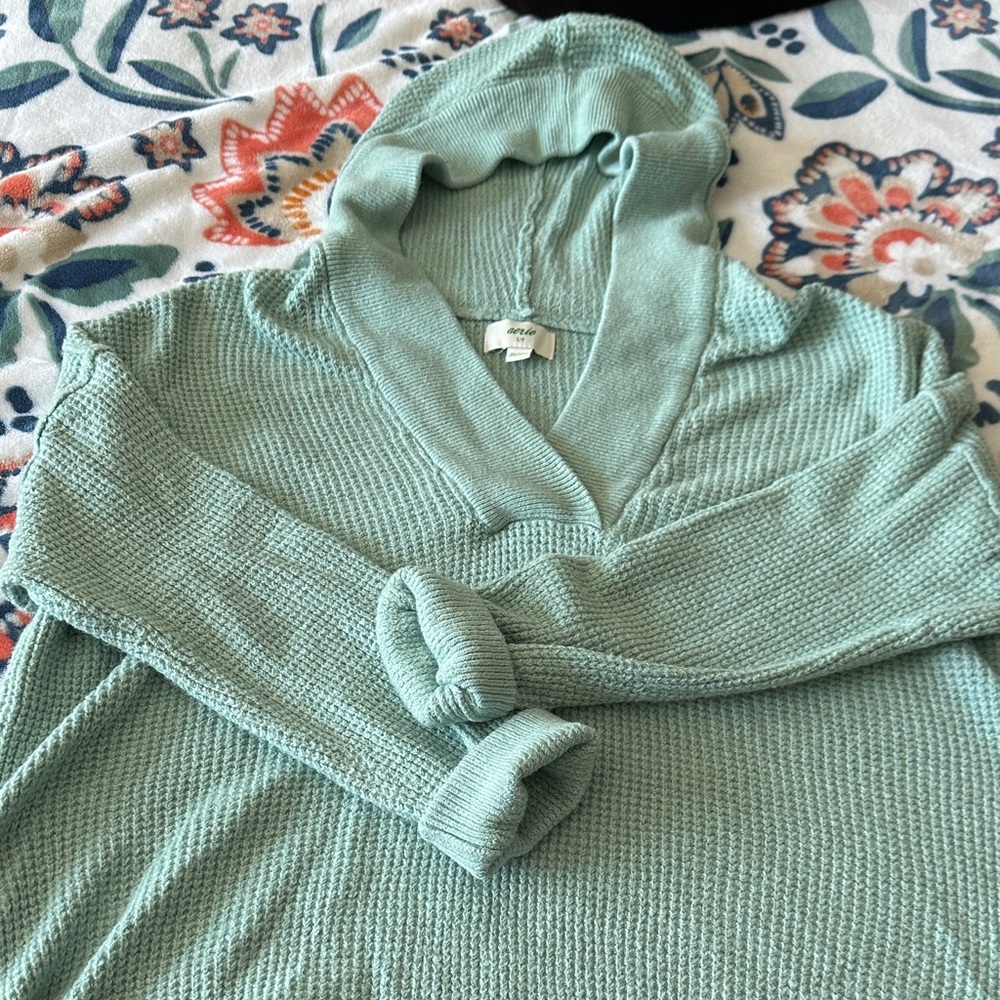 Aerie Sage V-Neck Sweater